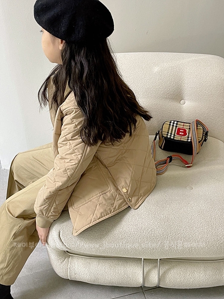 35260431a6f700ae8126db304492b881_1709656794_3063.jpg