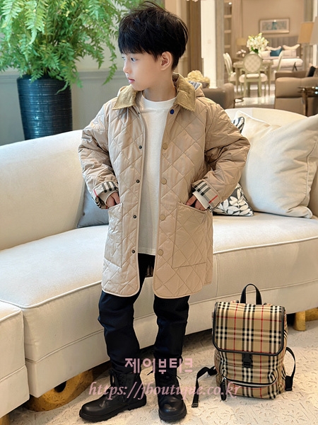 e530d0e76ee1da6194a7be25a2b33b6d_1736929917_3021.jpg