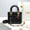 디올 레이디백 스몰