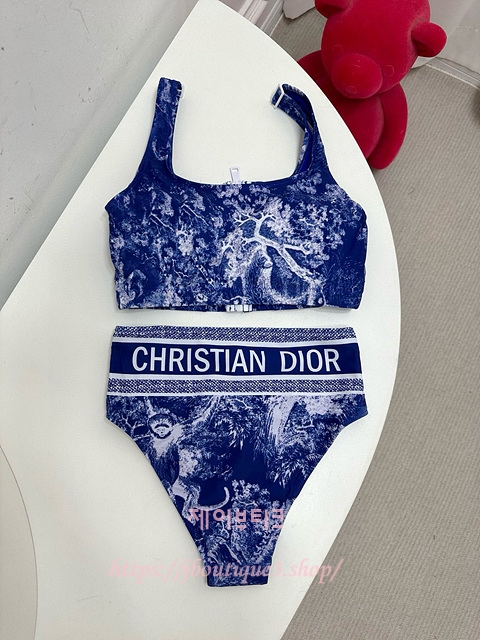 디올 비키니