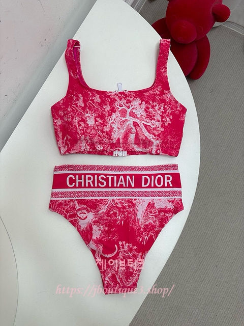 디올 비키니