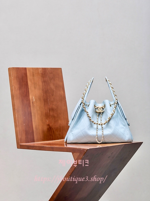 샤넬 25 호보백 스몰