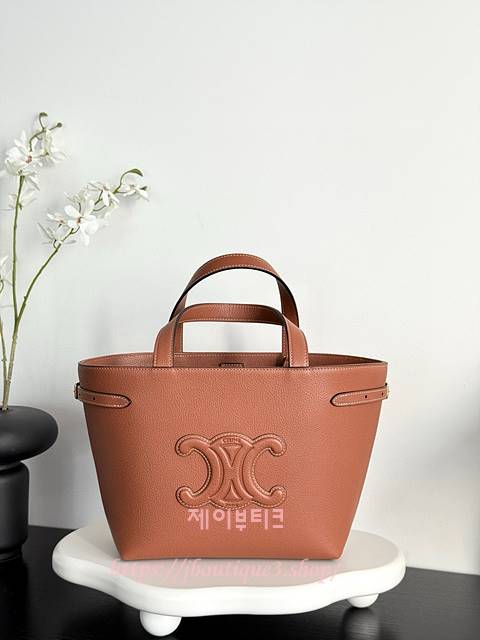 셀린느 미니 아나이스 카바스