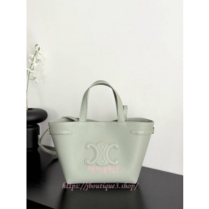 셀린느 미니 아나이스 카바스