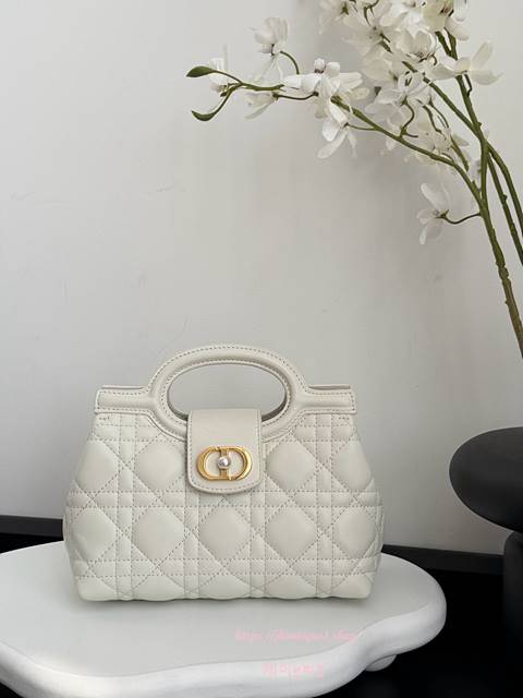 디올 Jolie 졸리 탑 핸들 미니 백