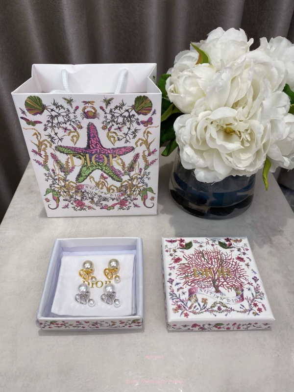 디올 트라이벌 이어링 (2color)