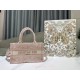 디올 Dior Book Tote 미니 백