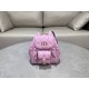 디올 Dior Caro 스몰 백팩