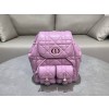 디올 Dior Caro 미디엄 백팩