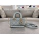 디올 디 조이백 마이크로